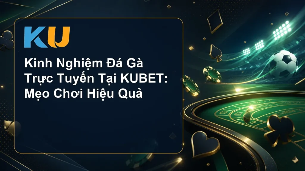 Kinh Nghiệm Đá Gà Trực Tuyến Tại KUBET: Mẹo Chơi Hiệu Quả - hình đại diện KU 75